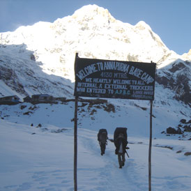 Annapurna Sanctuary Trekking