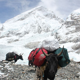 Everest Base camp and Kalapathar Trekking